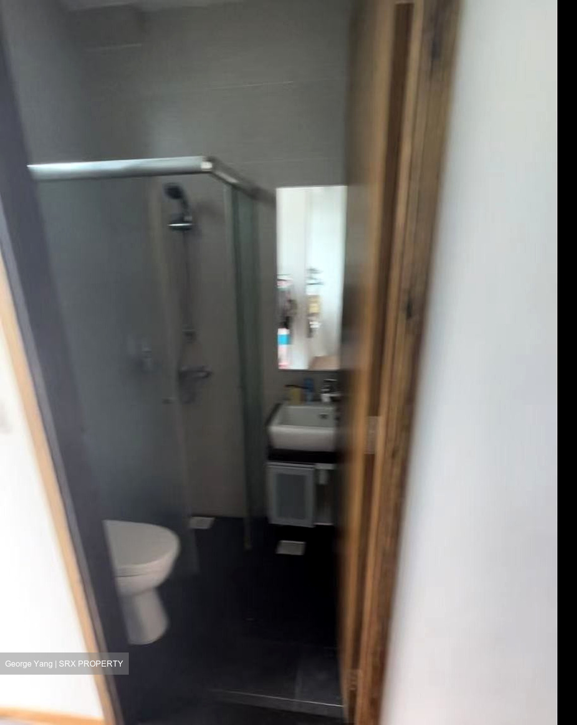 Icon @ Pasir Panjang (D5), Apartment #448533221